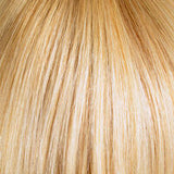 Large Barcella Cranial Hair Topper