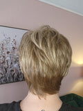 ENVY-Suits-Paula-Wig.jpg