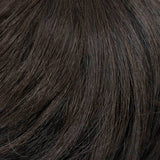 BA881 Synthetic Mono Top L: Bali Synthetic Hair Pieces