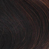 BA814 Crown: Bali Synthetic Hair Pieces