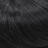 487C Clip-On 12" by WIPRO: Human Hair Extension