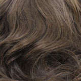 04/06/08 - Darkest Brown blended with medium and light chestnut brown and dark auburn