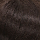 04/06 - Dark Brown & Medium Chestnut Brown