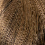 04/08GR - Darkest Brown with light chestnut brown Front & Temples