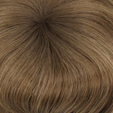  08/14T - Light Chestnut Brown tipped w/ Honey Blonde