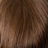 06/33 - Medium Chestnut Brown blended w/Dark Auburn