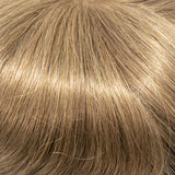 08/27T - Light Chestnut Brown tipped w/Strawberry Blonde