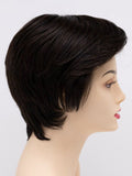 Paula Human Hair/Synthetic Hair Blend Lace Front Wig