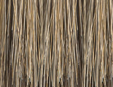Sandie Wig